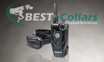 Meet the New Dogtra 200c Remote E-Collar