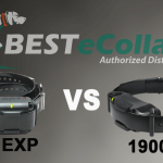 Dogtra 1900 vs 2300: Comparing The Differences